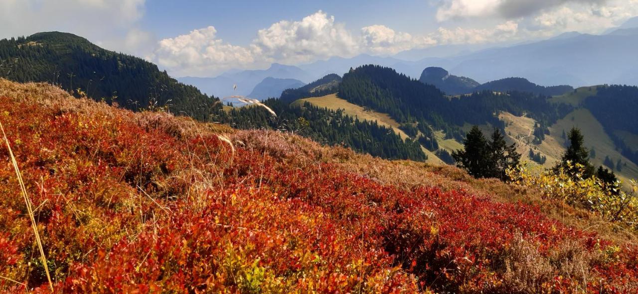 Fewo Niederndorferberg 외부 사진